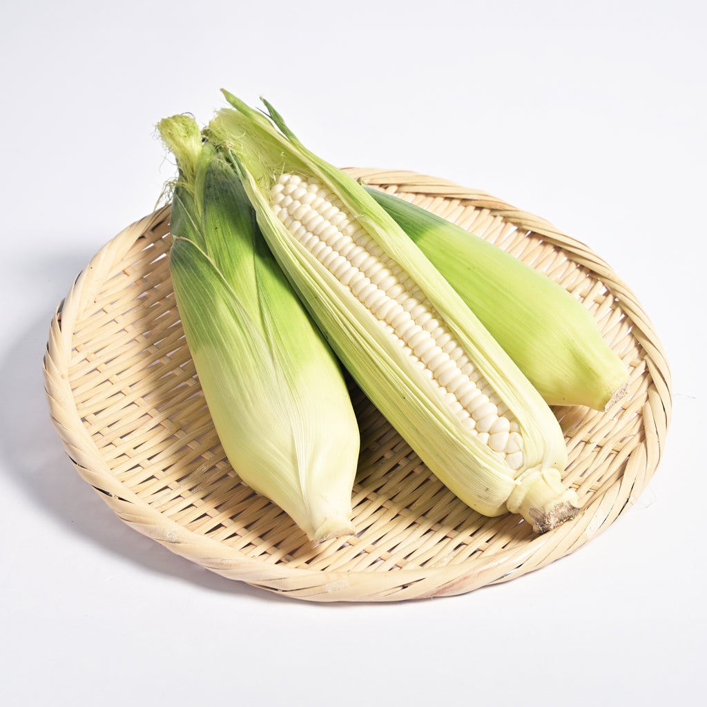 【予約販売／送料無料】雪の妖精とうもろこしセット