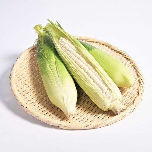【予約販売／送料無料】雪の妖精とうもろこしセット