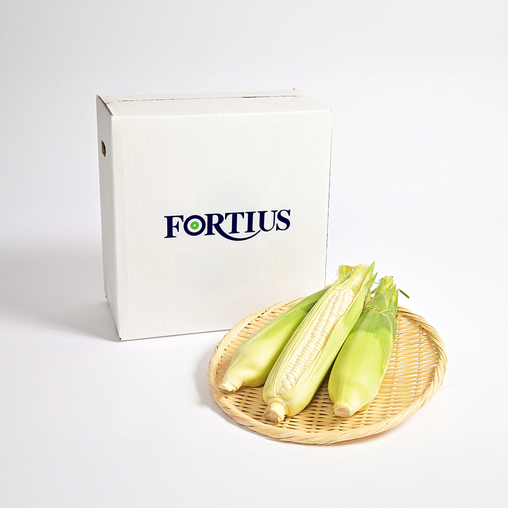 FORTIUS×DOP　白いとうもろこしBOX【10本入り／送料無料】